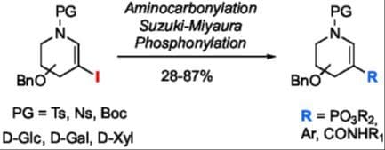 Introduction of Structural Diversity at the C2 Position of Unsaturated Iminosugars through Palladium‐Catalyzed Cross‐Coupling Reactions