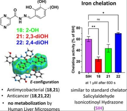 Investigating the Mechanism of Antimycobacterial and Antiproliferative Activity of (E)‐N’‐Benzylidenepyrazine‐2‐Carbohydrazides and their Derivatives