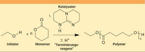Kleine Partikel, smarte Wirkung: Zielgerichteter Wirkstofftransport mit Nanopartikeln
