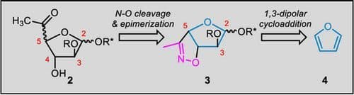 Latent‐Functionality‐Based Synthesis of the Furanoside Motif of Hygromycin A