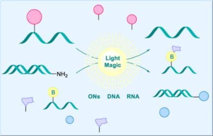 Light‐Mediated Modification and Manipulation of Nucleic Acids