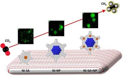 Local Synergy Between Ni Single Atoms, Adjacent NiO Nanoparticles, and Oxygen‐Deficient TiO2 Facilitates Highly Efficient CO2 Methanation