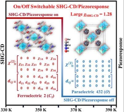 Mathematical Double‐Matrix Switchable Homochiral Ferroelectric