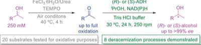 Merging Iron Catalysis and Enzymatic Reduction: A Deracemization Strategy of Secondary Alcohols in Iron‐Based Deep Eutectic Solvents