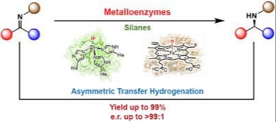 Metalloenzyme‐Catalyzed Asymmetric Transfer Hydrogenation for the Synthesis of Chiral Amines