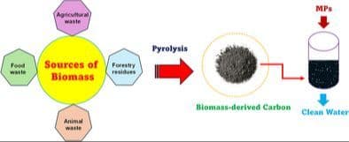 Microplastic Removal from Water Using Biomass‐Based Carbon: A Review of Recent Advances