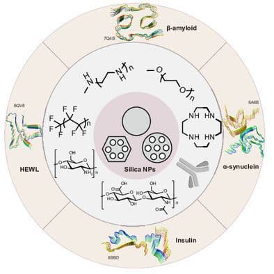 Modulating the Aggregation of Amyloid Proteins by Silica Nanoparticles
