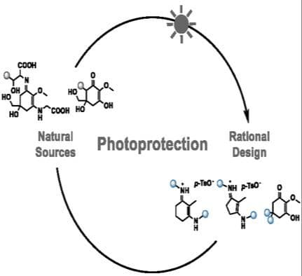 Nature‐Inspired Uv Filters: Synthetic Mycosporine‐Like Amino Acids and Gadusol Analogs for Enhanced Photoprotective and Antioxidant Performance