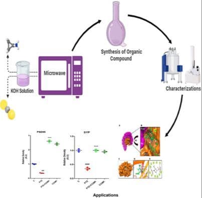 Neuroprotective Efficacy of Microwave‐Assisted Synthetized 2‐(5‐Cyclopropyl‐6‐Thioxo‐1,3,5‐Thiadiazinan‐3‐Yl) Acetic Acid in Mitigating Cognitive Deficits in Pentylenetetrazole‐Induced Mice Model