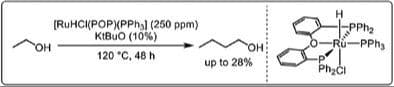 Non‐Noyori‐Type Ruthenium‐POP Pincer Catalysts in Ethanol Upgrading