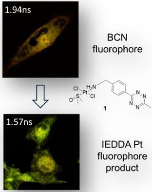 Novel Platinum(II) Tetrazine Complex Capable of Live‐Cell IEDDA Reaction