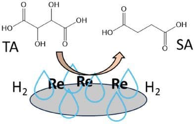 One‐Pot Production of Succinic Acid from Tartaric Acid in Water by Supported Rhenium Catalyst