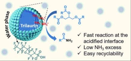 “On‐Water” Interfacial Acidification Enhances Direct Ammonolysis of Triglycerides