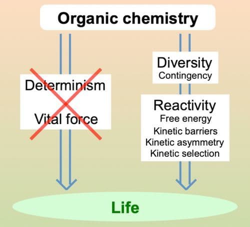 Organic Reactivity Matters for the Emergence of Life: Kinetic Barriers and Molecular Diversity Are Suggested as Crucial Factors by Emerging Autonomous System Models
