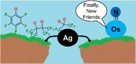 Osmium(VI) Nitrido Complexes with Perfluorinated Alcoholate Ligands: Expanding Ligand Scope through a Simple Silver Oxide‐Mediated Synthesis Route