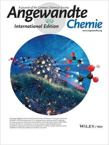 Outside Back Cover: The Importance of Si─ONa─Al Moieties in Fe/ZSM‐5 Zeolite Catalysts for Selective Oxidation of Methane to Acetic Acid