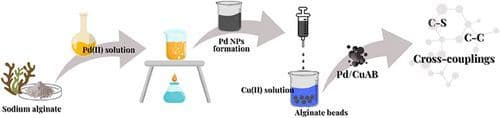 Palladium Nanoparticles Dispersed in Alginate Beads as an Efficient, Eco‐friendly, and Sustainable Heteregeneous Catalyst: Testing in Carbon‐Sulfur and Carbon‐Carbon Cross‐Coupling Reactions