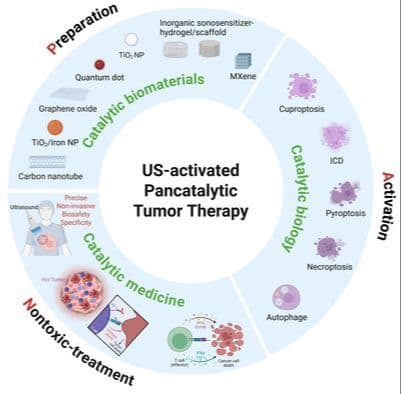 Pancatalytic Tumor Therapy by Ultrasound Activation of Inorganic Sonosensitizers