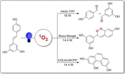Photochemistry of Resveratrol: Beyond the Reactivity of Metal‐Free Porphyrins Immobilized on Lignin