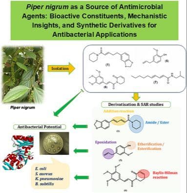 Piper nigrum as a Source of Antimicrobial Agents: Bioactive Constituents, Mechanistic Insights, and Synthetic Derivatives for Antibacterial Applications