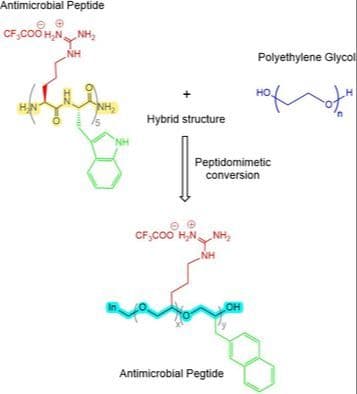 Poly(ethylene Glycol)‐Based Peptidomimetics (Pegtides) of Antimicrobial Peptides