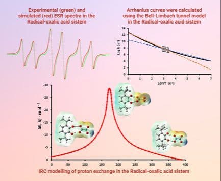 Proton Exchange Between 3,6‐Di‐Tert‐Butyl‐2‐Hydroxyphenoxyl and Dicarboxylic Acids Studied by Electron Spin Resonance Spectroscopy and Density Functional Theory Calculations
