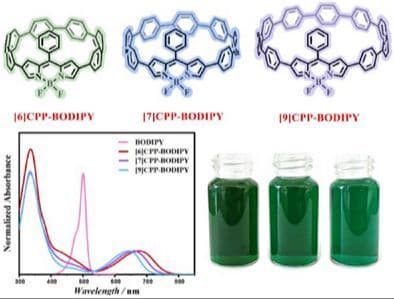 Pushing Carbon Nanohoops to Dark Green by Inserting BODIPY Dye Into Cycloparaphenylene Scaffolds
