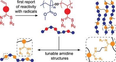Radical Reactivity of Thioimidates for Diversified Polymeric Amidines with Tunable Properties