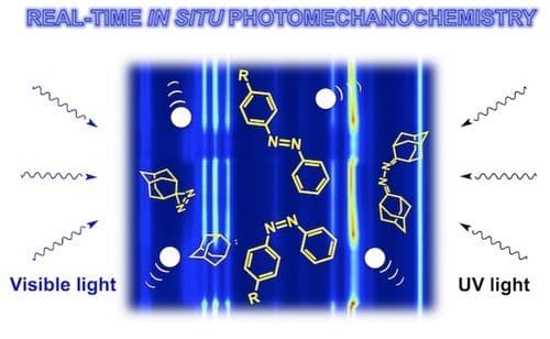Real‐Time In Situ Raman Monitoring of Photomechanochemical Reactions