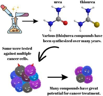 Recent Updates on Anticancer Activities of Urea and Thiourea Derivatives