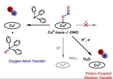 Reduction of Nitrite at a Copper(II) Trans‐κ1‐ONO Complex via Proton‐Coupled Electron Transfer and Oxygen Atom Transfer