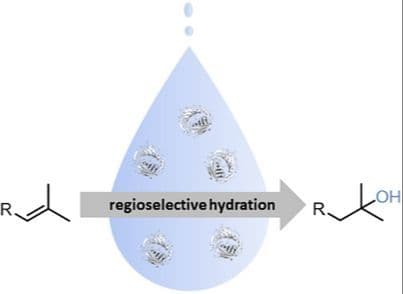 Regioselective Hydration of Terpenes with Cofactor‐Independent Carotenoid 1,2‐Hydratase