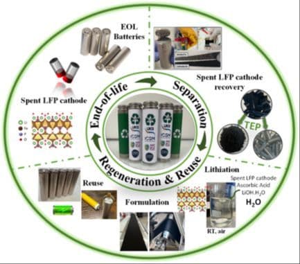 Revitamize LFP! Ascorbic Acid‐Assisted Direct Regeneration of Spent LiFePO4 for Li‐Ion Batteries