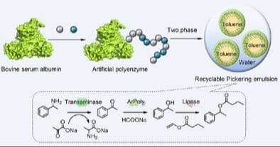 Robust Artificial Polyenzyme for Recyclable Pickering Emulsion and Cascade Synthesis