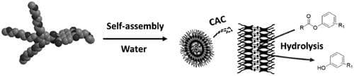 Self‐Assembly‐Driven Esterase Mimetic Behavior of a Naphthalenediimide Amphiphile in Aqueous Media