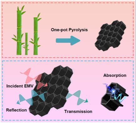 Self‐Supporting Bamboo Charcoal with Outstanding Electromagnetic Interference Shielding Performance
