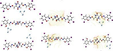 SERS Spectra and MD Simulations of a Bioactive Diiodobenzaldehyde Derivative: Experimental and Theoretical Investigations