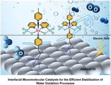 Silatrane Functional Rubds‐Based Catalyst for Stabilized Heterogenized Water Oxidation