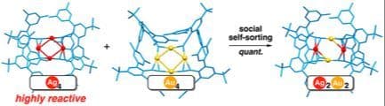 Social Self‐Sorting of Ag4 and Au4 Alkynyl Complexes into Hetero–Tetranuclear Ag2Au2 Alkynyl Complexes: Ag4 Alkynyl Complex as a Highly Reactive Silver Species