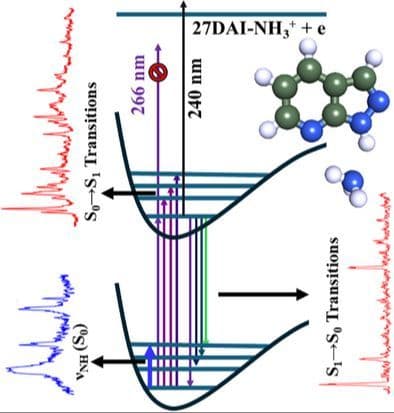 Spectroscopic Characterization of Hydrogen‐Bonded 2,7‐Diazaindole‐Ammonia Complex: Laser Spectroscopic Investigations of Isolated Gas Phase Molecules