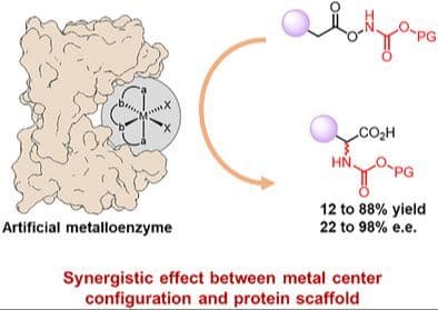 Stereocontrolled 1,3‐Nitrogen Migration Catalyzed by Artificial Metalloenzymes Bearing Stereogenic Metal Centers