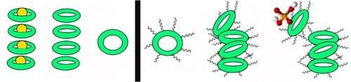 Substituent‐Driven Anion‐Binding Selectivity in Aliphatic Chain‐Substituted 1,2‐Phenylene Urea Macrocycles and Optimized Synthetic Methodology