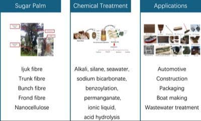 Sugar Palm (Arenga pinnata): Newly Discovered Natural Fiber with Its Properties and Applications