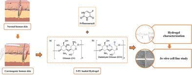 Synthesis of Dialdehyde Chitosan‐Based Schiff Base Polymeric Complexes for the Controlled Delivery of 5‐Fluorouracil (5‐FU) in Skin Cancer