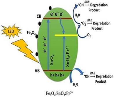 Synthesis, Structural Analysis, and Photocatalytic Evaluation of Fe3O4/SnO2:Pr3+ Nanocomposite Using Artocarpus heterophyllus L., for Dye and Pesticide Degradation