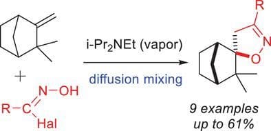 Synthesis, Structure, and Antiviral Activity of Camphene‐Based Spiroisoxazolines