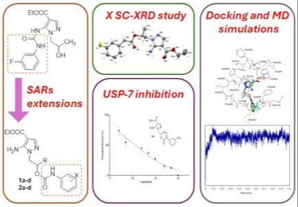 Targeting Ubiquitin‐Specific Protease 7 with Novel 5‐Amino‐Pyrazole Inhibitors: Design, Synthesis, and Biological Evaluation