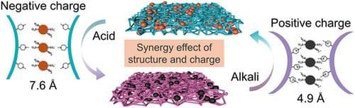 TASK2‐Inspired pH‐Gating Polymeric Nanochannels with Multiple Interconvertible Permeability States by Synergistic Regulation of Conformation and Charge