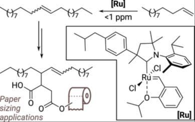 Testing Lipophilic Cyclic(Alkyl)(Amino)Carbene‐Based Ruthenium Benzylidene Catalysts in Cross Metathesis of 1‐Dodecene at Ultralow Loadings (Below One Part‐Per‐Million)