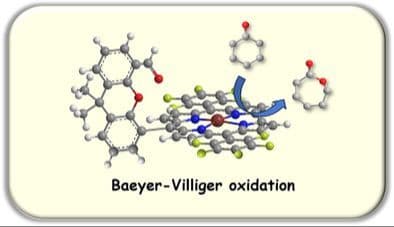 The Application of Hangman Fe(IV) Corrole in the Baeyer–Villiger Oxidation Reaction